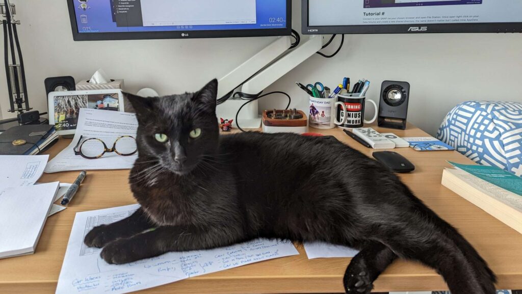 Cat sitting on desk
